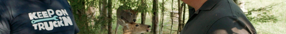 The Nations - Wildlife